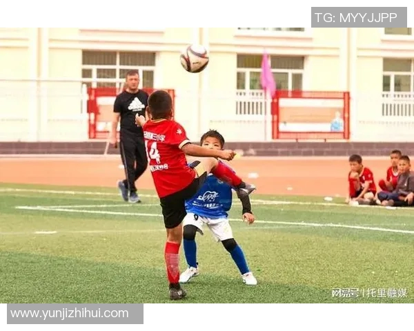 易姓足球明星的辉煌历程与成就盘点,见证他们在绿茵场上的精彩瞬间