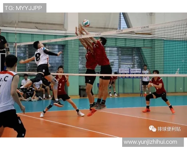 武汉排球队在钻石联赛中的默契配合与战术执行分析